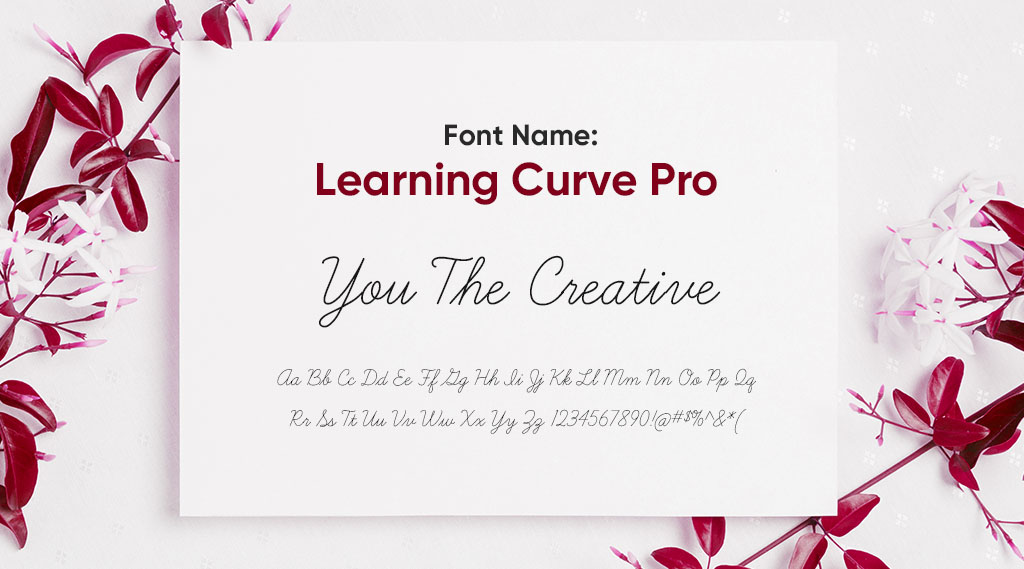 this is how learning curve pro looks like