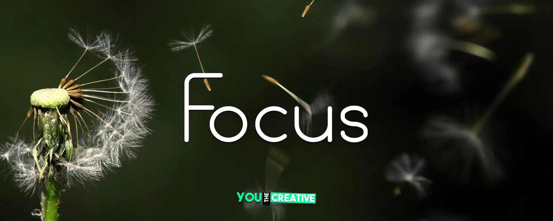 Focus font for you
