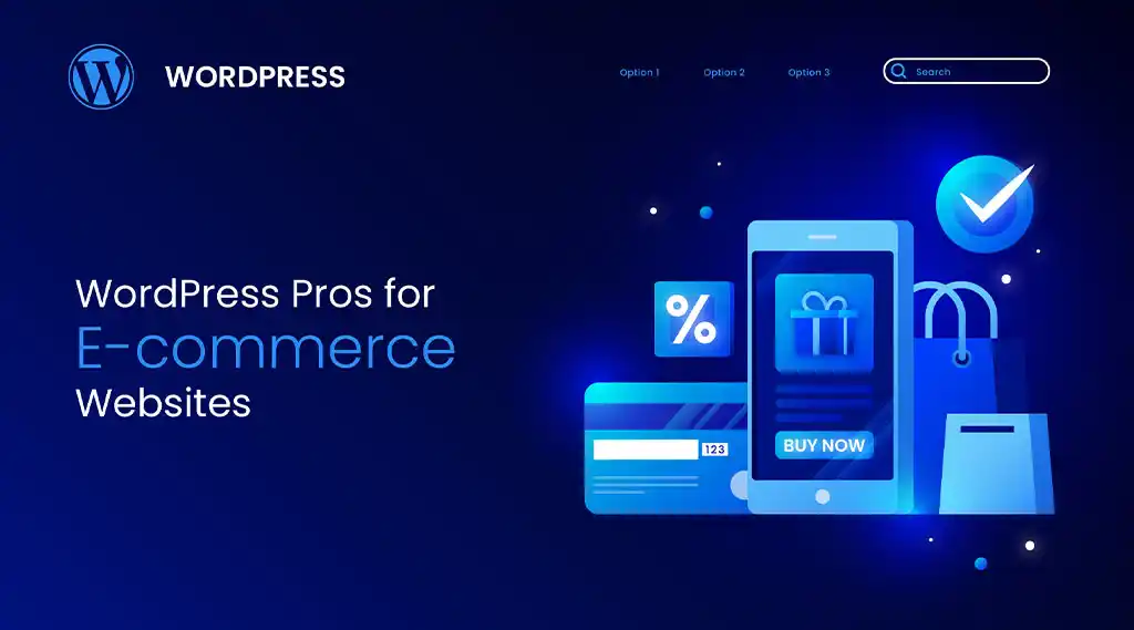 WordPress Pros for E-commerce websites